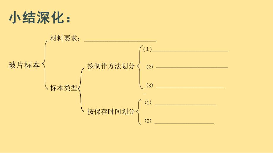 生 物植物细胞 课件-2024-2025学年人教版生物七年级上册_第4页