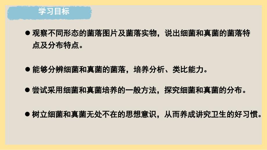 生 物微生物的分布 课件-2024-2025学年人教版生物七年级上册_第2页