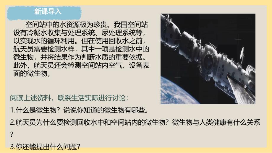 生 物微生物的分布 课件-2024-2025学年人教版生物七年级上册_第3页