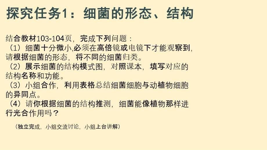 生 物细菌 课件-2024-2025学年人教版生物七年级上册_第5页