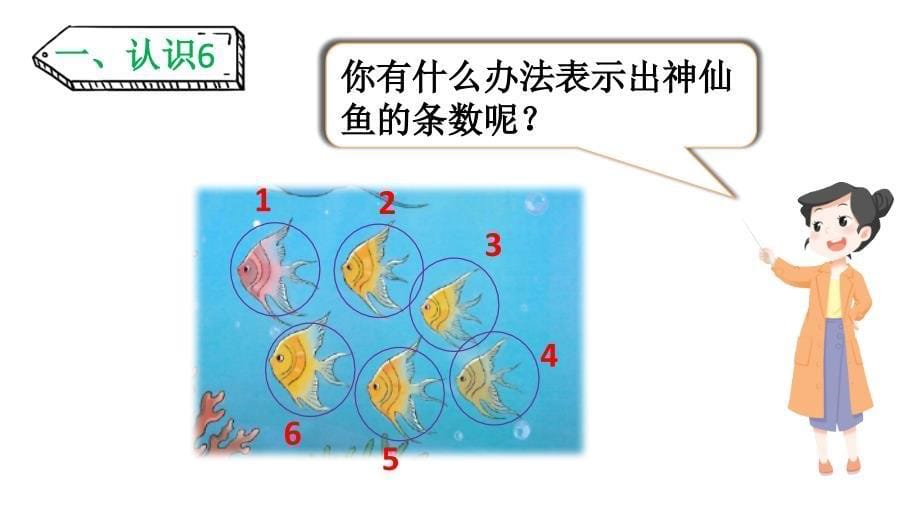 小学数学新人教版一年级上册第二单元第1课第1课时《6~9的认识》教学课件3（2024秋）_第5页