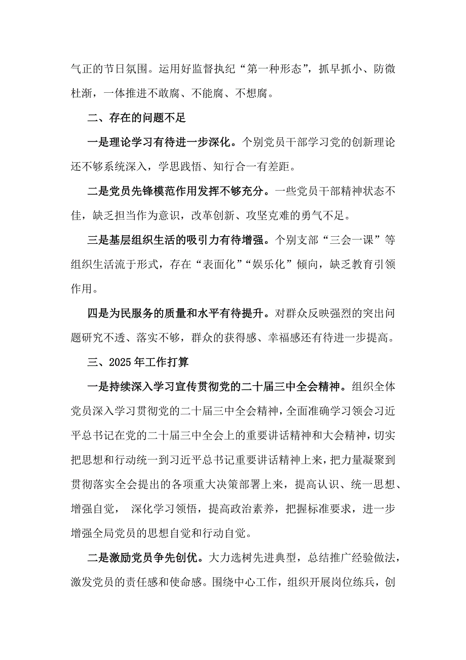 2篇稿2024年党建工作总结_第3页