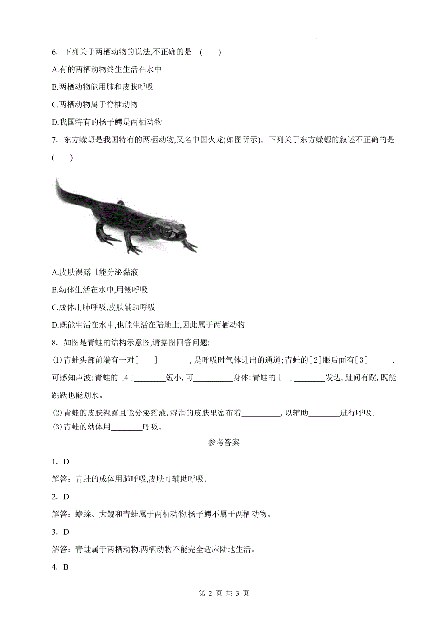 人教版七年级生物上册《2.2.2两栖动物和爬行动物》同步测试题及答案_第2页