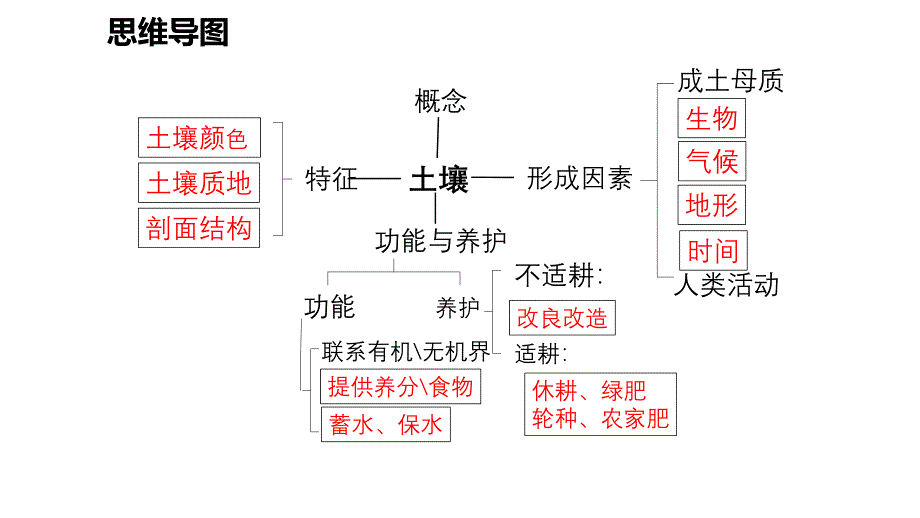 2025届高三一轮复习+课件+土壤_第3页