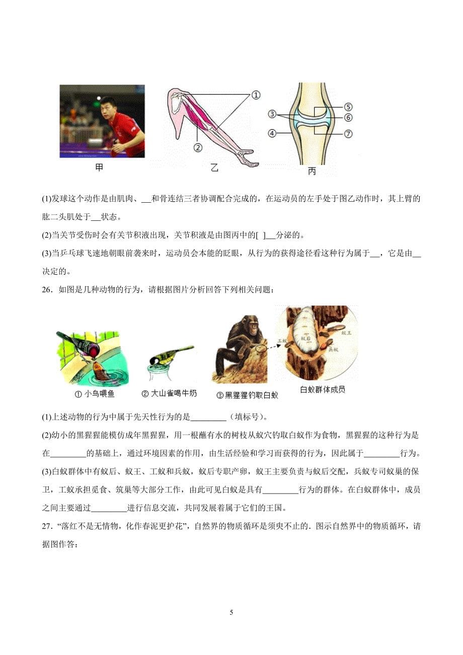 2024-2025学年北师版八年级生物上学期期中模拟测试卷01_第5页