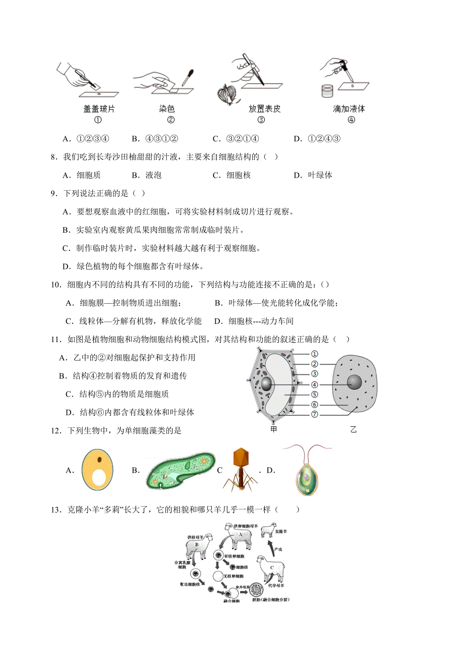 第4章《生物体有相同的基本结构》-2024-2025学年七年级生物上册单元测试卷（苏科版2024）_第2页