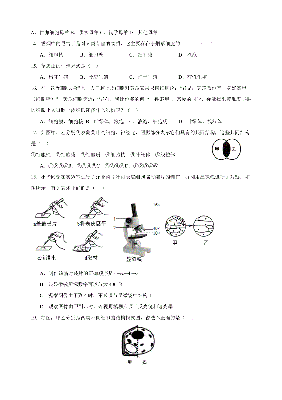 第4章《生物体有相同的基本结构》-2024-2025学年七年级生物上册单元测试卷（苏科版2024）_第3页