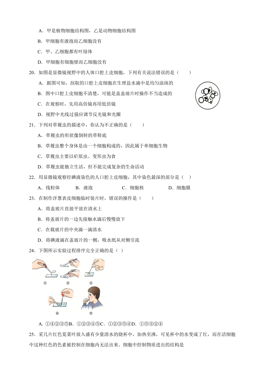 第4章《生物体有相同的基本结构》-2024-2025学年七年级生物上册单元测试卷（苏科版2024）_第4页