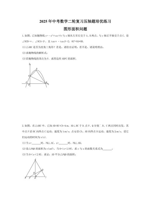 2025年中考数学二轮复习压轴题培优练习 图形面积问题（含答案）