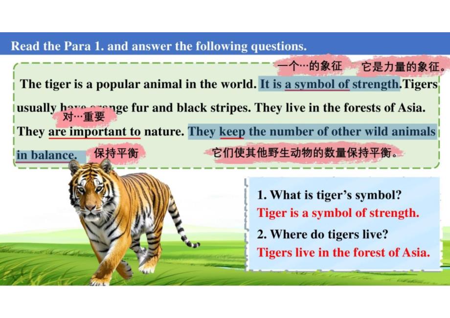 Unit+5+Lesson+5+Save+the+tigers+课件+2024-2025学年七年级英语上册冀教版（2024）_第4页