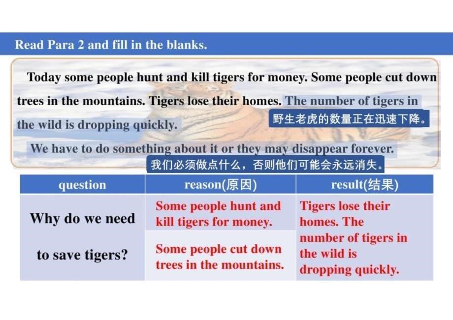 Unit+5+Lesson+5+Save+the+tigers+课件+2024-2025学年七年级英语上册冀教版（2024）_第5页