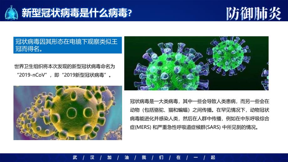 【特约】高一（43）班《防御肺炎共同抗击新型冠状病毒肺炎》主题班会（27张PPT）课件_第4页