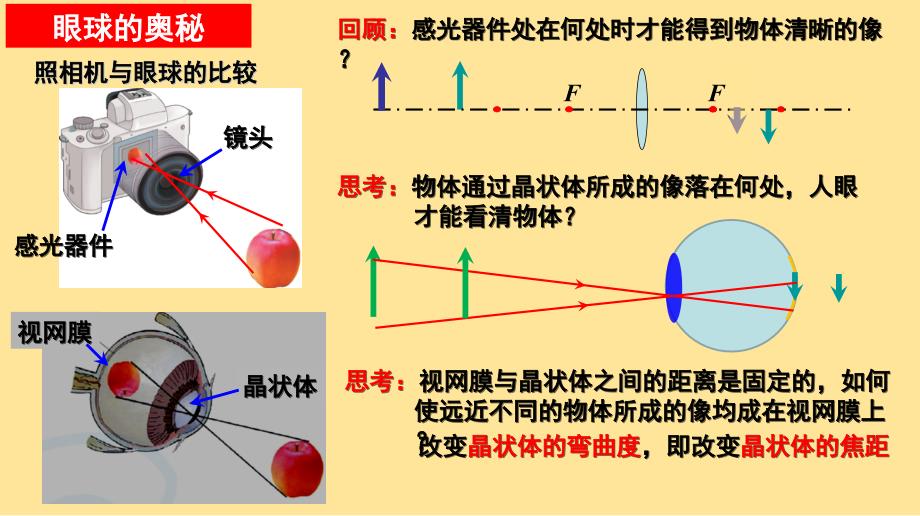 【初中物理】透镜的应用（第1课时）（新教材）-2024-2025学年八年级物理上册（苏科版）_第3页