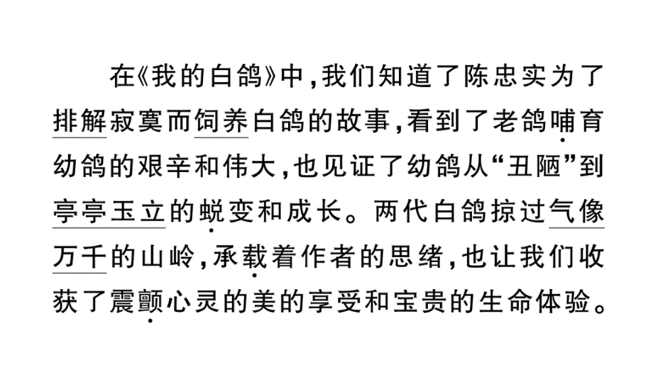 初中语文新人教部编版七年级上册第18课《我的白鸽》作业课件第二套（2024秋）_第3页