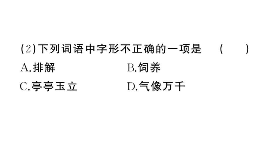 初中语文新人教部编版七年级上册第18课《我的白鸽》作业课件第二套（2024秋）_第5页