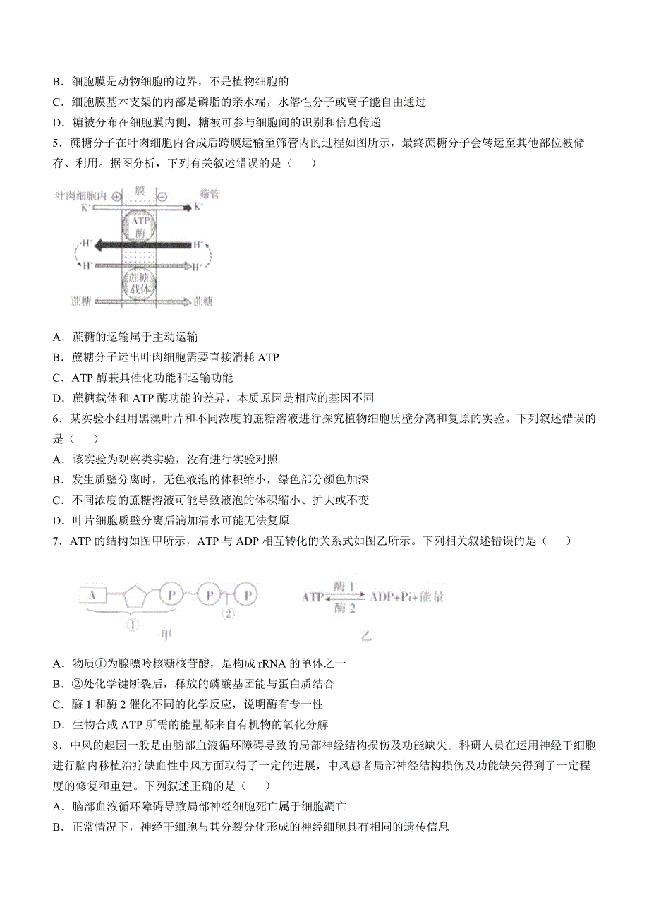 福建省部分达标高中2024-2025学年高三上学期11月期中考试 生物 含答案_第2页