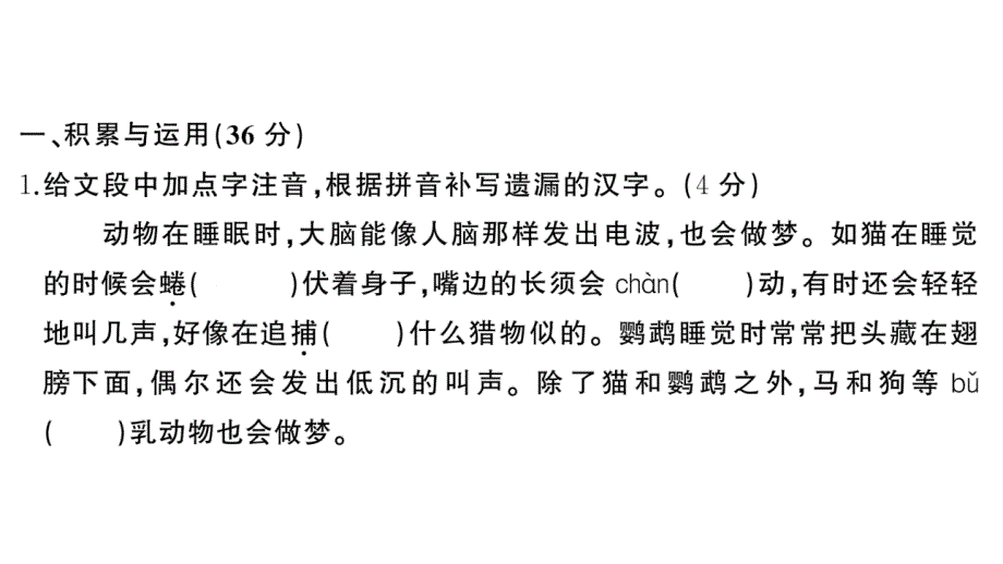 初中语文新人教部编版七年级上册第五单元《综合训练》课件（2024秋）_第2页