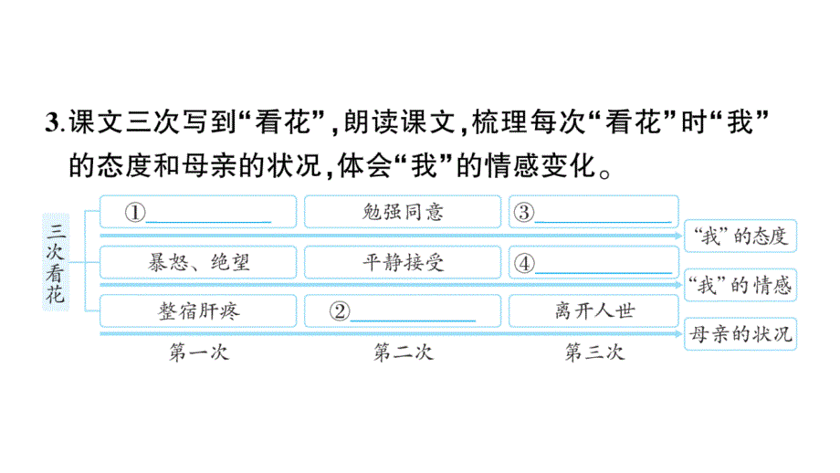 初中语文新人教部编版七年级上册第5课《秋天的怀念》作业课件（2024秋）_第4页