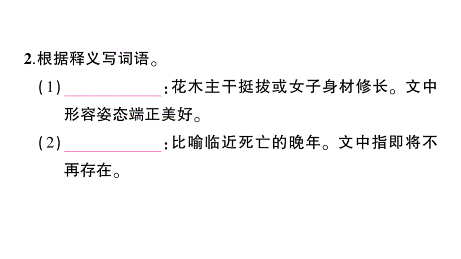 初中语文新人教部编版七年级上册第18课《我的白鸽》作业课件（2024秋）_第3页