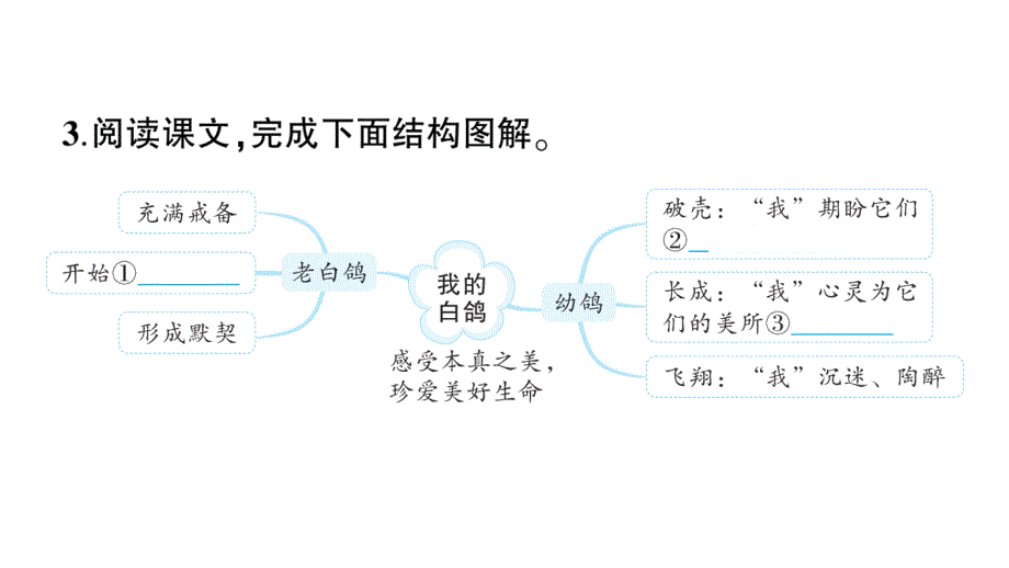 初中语文新人教部编版七年级上册第18课《我的白鸽》作业课件（2024秋）_第4页