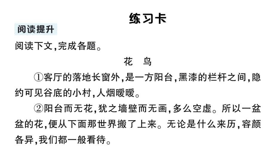 初中语文新人教部编版七年级上册第18课《我的白鸽》作业课件（2024秋）_第5页