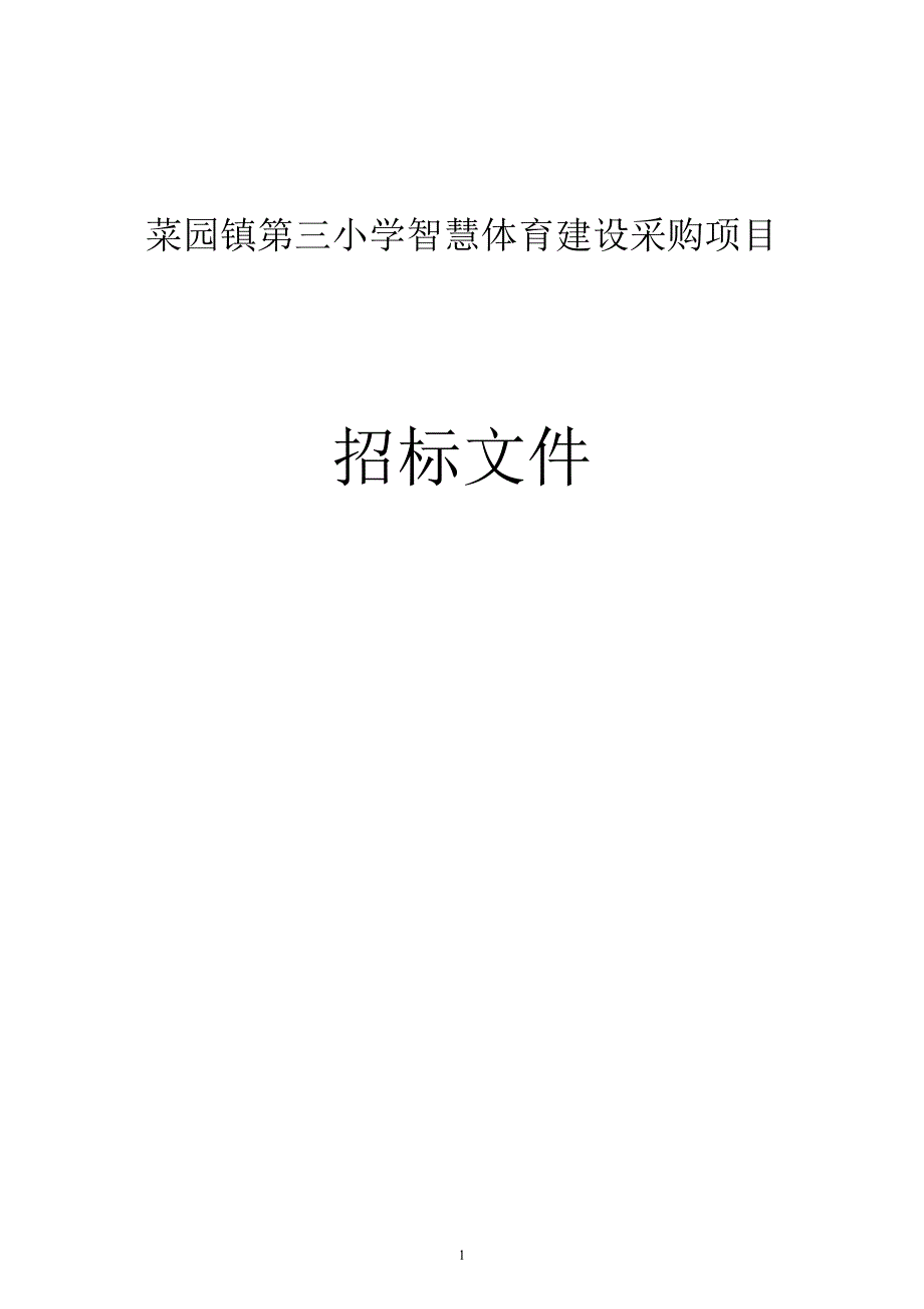 小学智慧体育建设采购项目招标文件_第1页