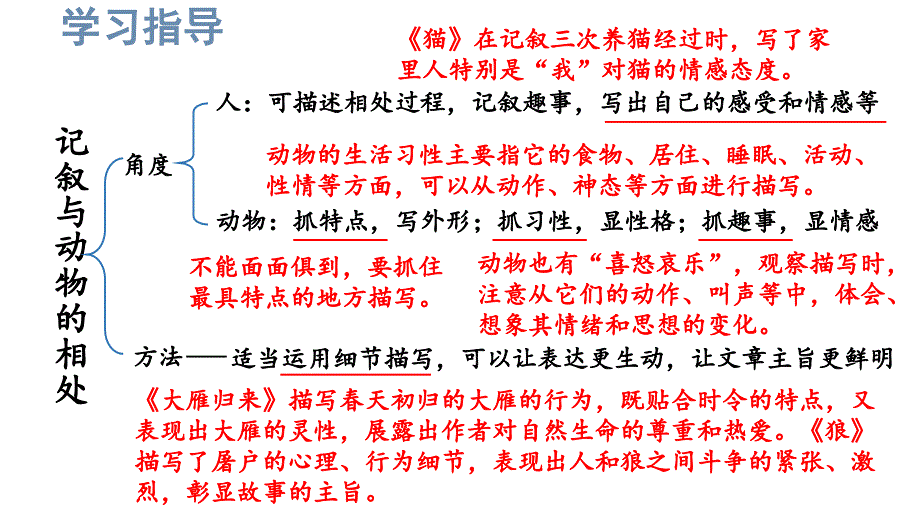 初中语文新人教部编版七年级上册第五单元《任务三 记叙与动物的相处》考点精讲课件（2024秋）_第3页