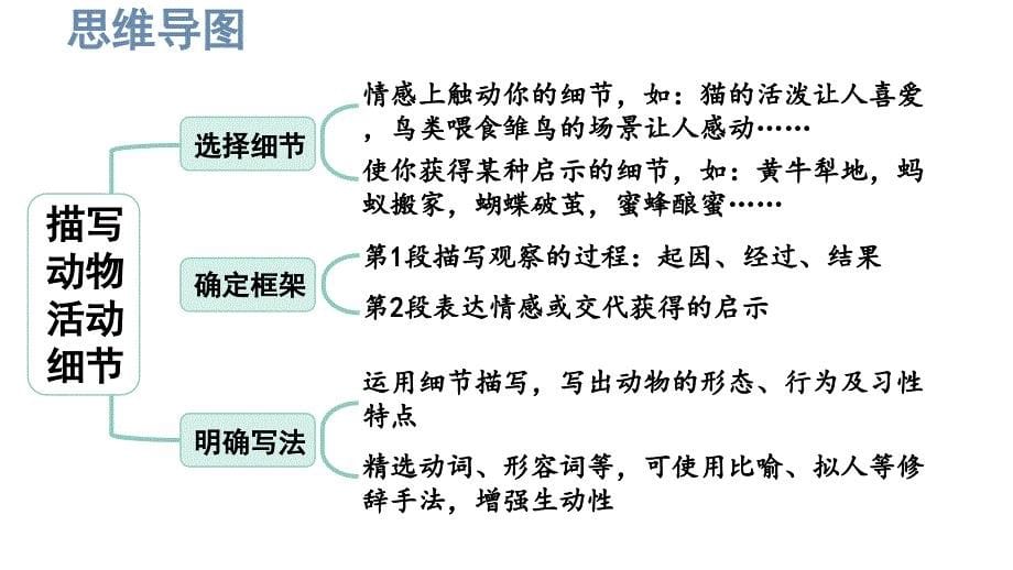 初中语文新人教部编版七年级上册第五单元《任务三 记叙与动物的相处》考点精讲课件（2024秋）_第5页