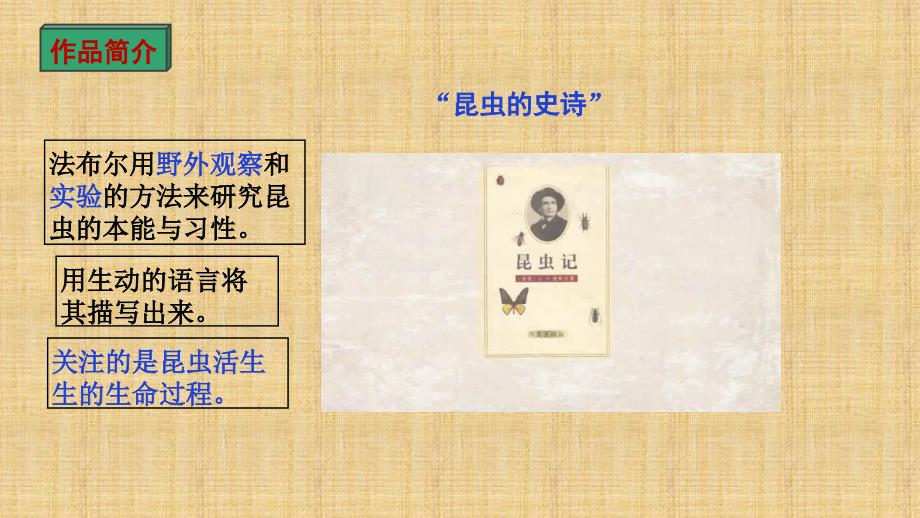 2025年中考语文复习名著思维导图专题《昆虫记》课件_第3页