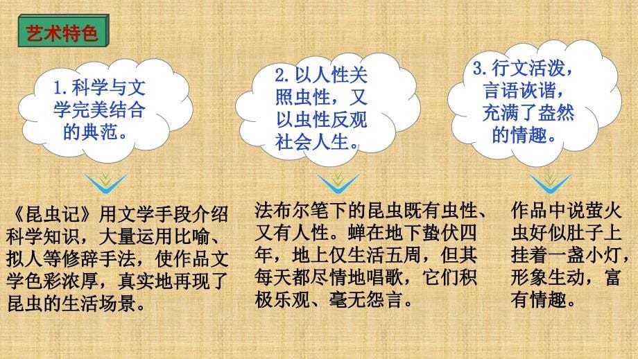 2025年中考语文复习名著思维导图专题《昆虫记》课件_第5页