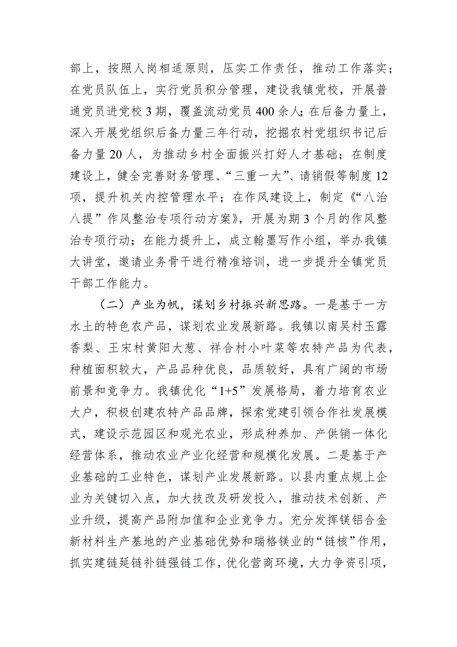 乡镇2024年度推动乡村全面振兴工作总结_第2页