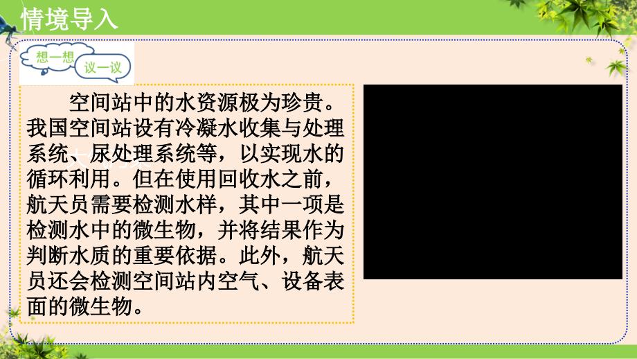 【初中生物】微生物的分布课件-2024--2025学年人教版（2024）生物七年级上册_第4页