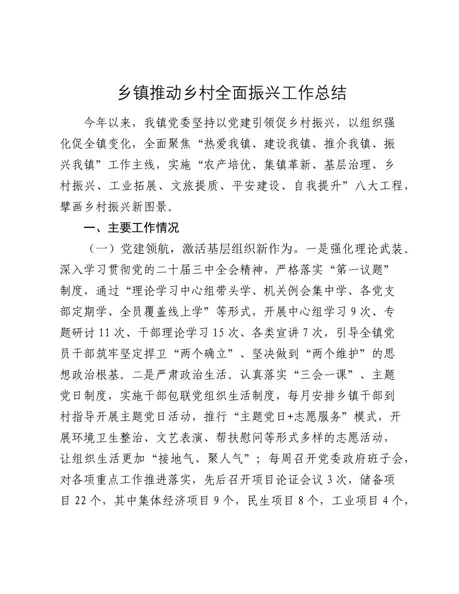 乡镇推动乡村全面振兴工作总结2024-2025_第1页