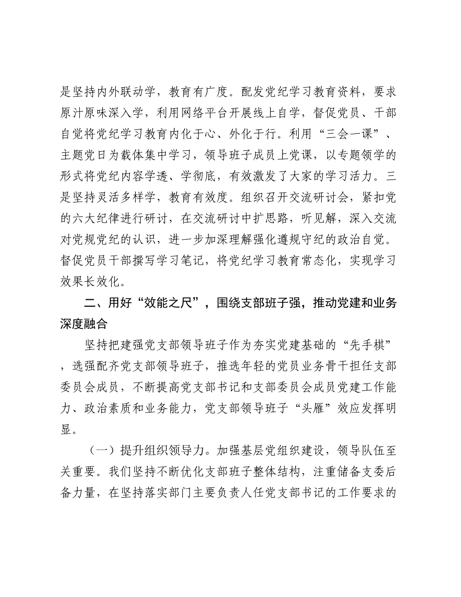 在2024-2025年“四强”党支部建设经验交流会上的发言提纲_第4页