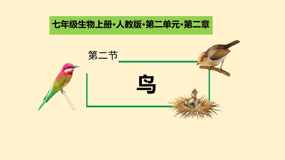 【初中生物】脊椎动物课件2024-2025学年人教版生物七年级上册_第1页