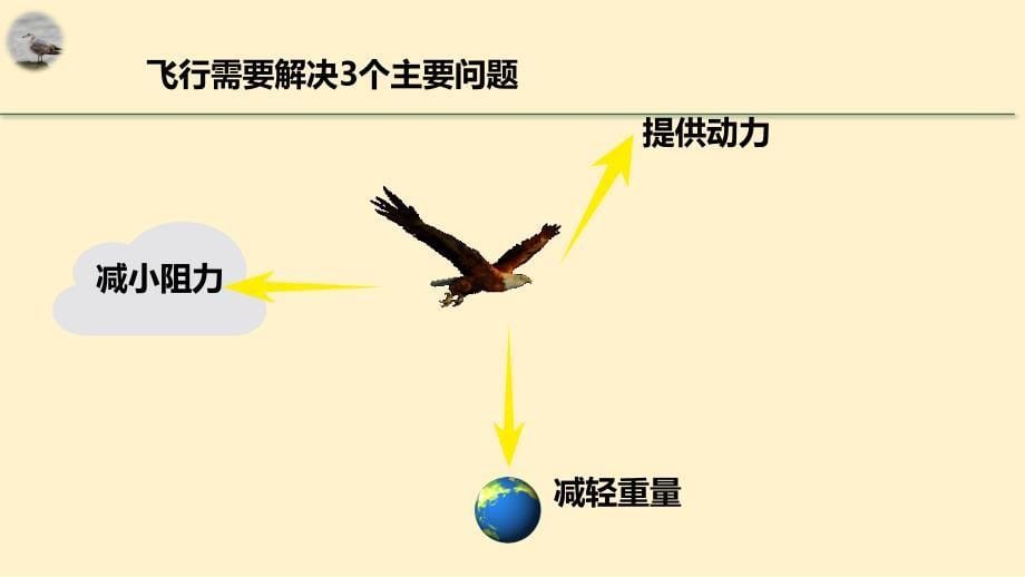 【初中生物】脊椎动物课件2024-2025学年人教版生物七年级上册_第5页