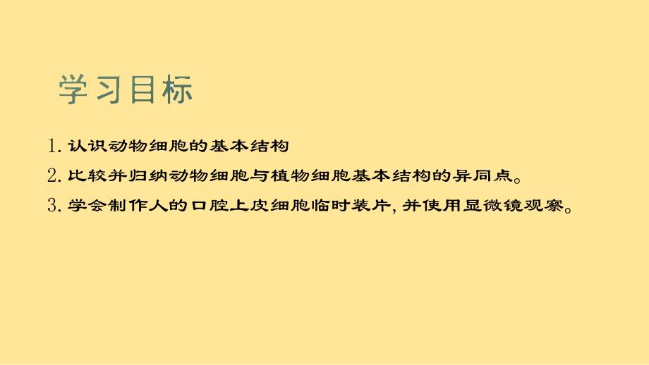 【初中生物】动物细胞课件2024-2025学年人教版生物七年级上册_第2页