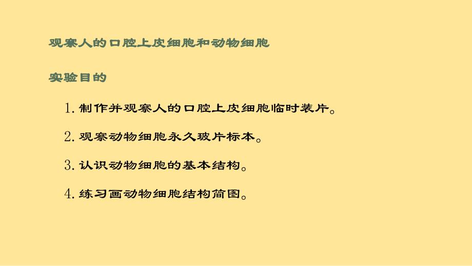 【初中生物】动物细胞课件2024-2025学年人教版生物七年级上册_第3页