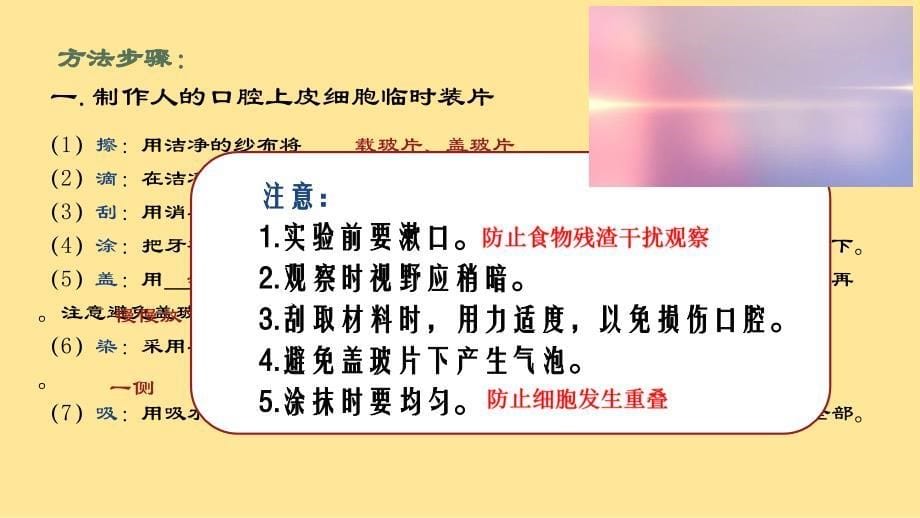 【初中生物】动物细胞课件2024-2025学年人教版生物七年级上册_第5页