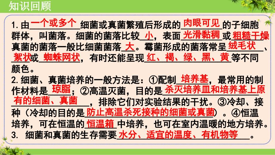 【初中生物】细菌课件-2024--2025学年人教版（2024）生物七年级上册_第2页