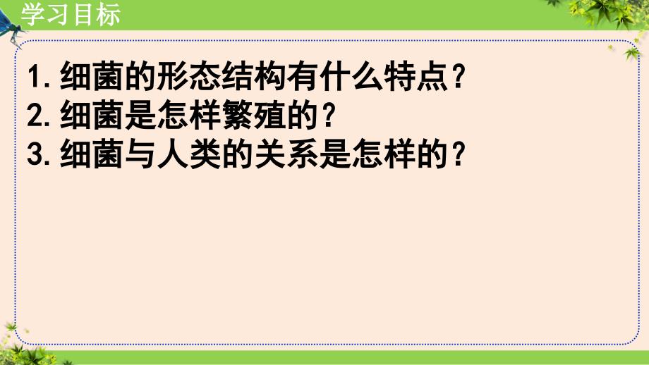 【初中生物】细菌课件-2024--2025学年人教版（2024）生物七年级上册_第4页