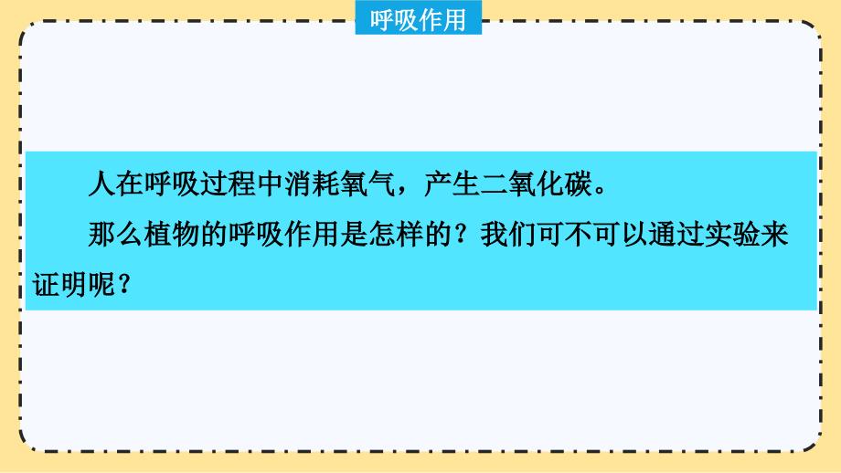 【初中生物】呼吸作用同步课件-2024--2025学年北师大版生物七年级上册_第4页