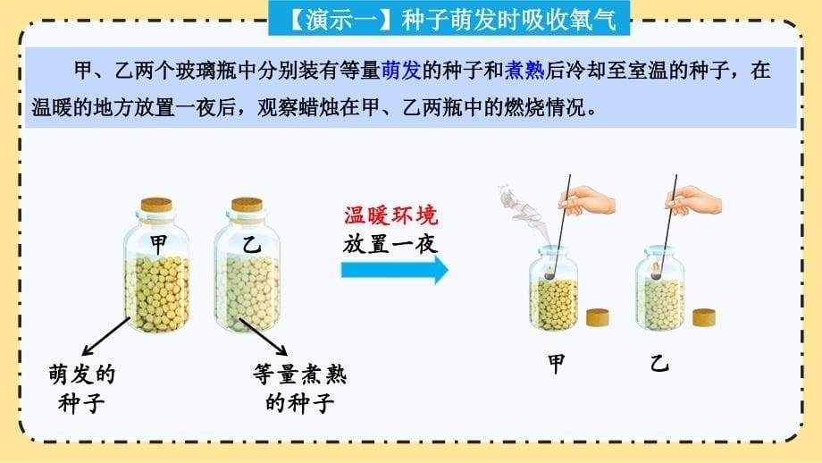 【初中生物】呼吸作用同步课件-2024--2025学年北师大版生物七年级上册_第5页