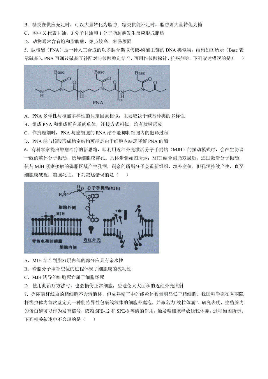 湖北省2024-2025学年高三上学期期中考试生物试题 含答案_第2页