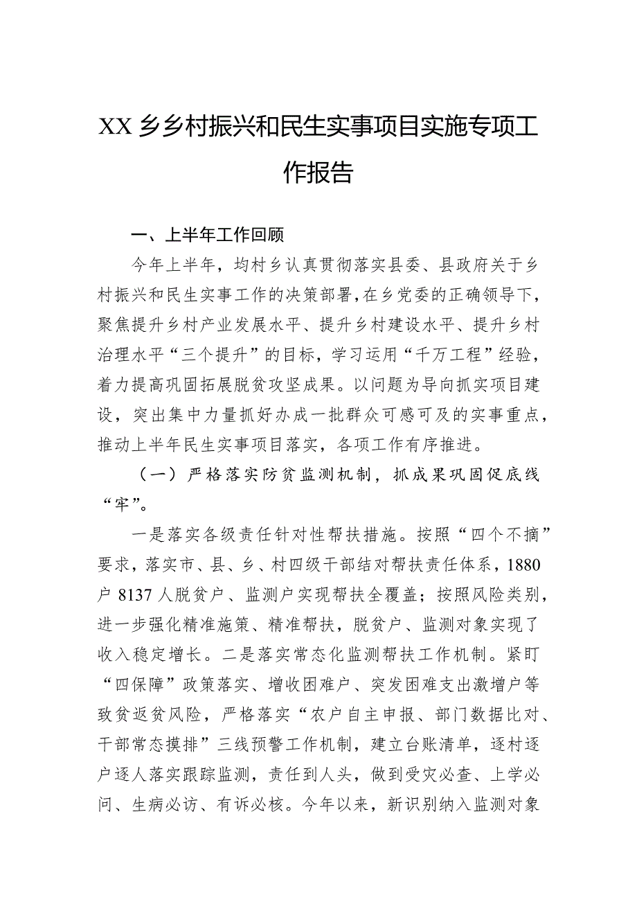 乡村振兴和民生实事项目实施专项工作报告_第1页