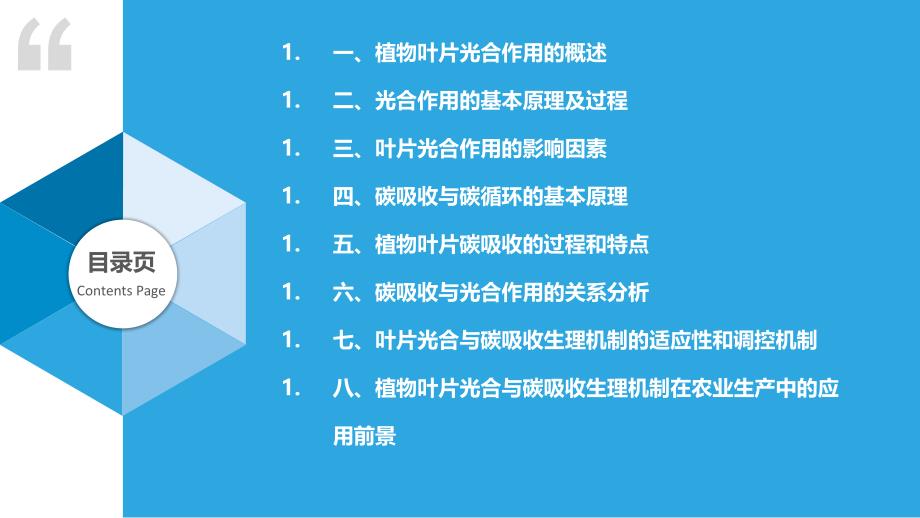 植物叶片光合与碳吸收生理机制_第2页