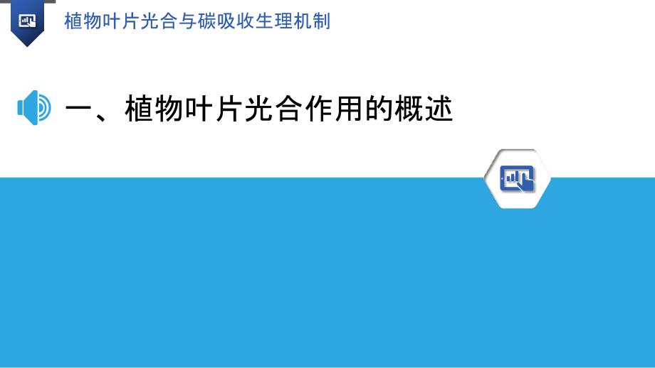 植物叶片光合与碳吸收生理机制_第3页