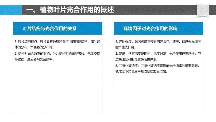 植物叶片光合与碳吸收生理机制_第5页