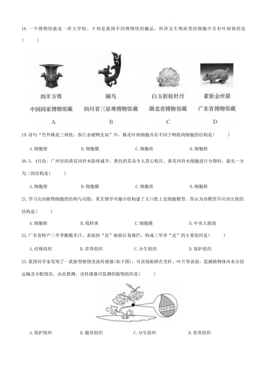 【初中生物】2024-2025学年北师大版生物七年级上册期中测试卷(一)_第4页