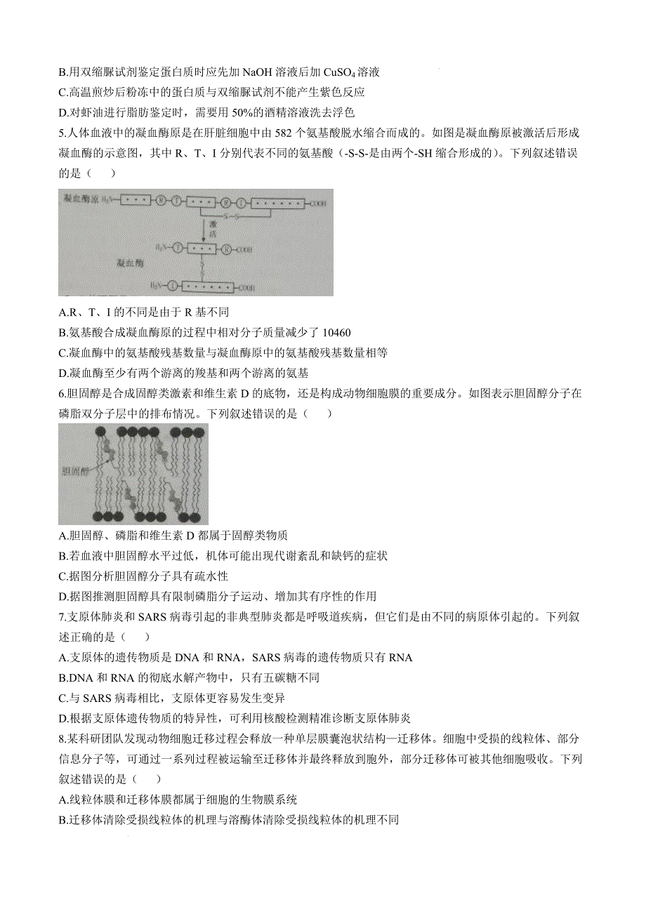 山东省烟台市2024-2025学年高一上学期11月期中考试 生物 含答案_第2页